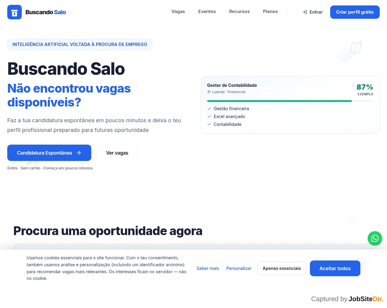Buscando Salo website screenshot