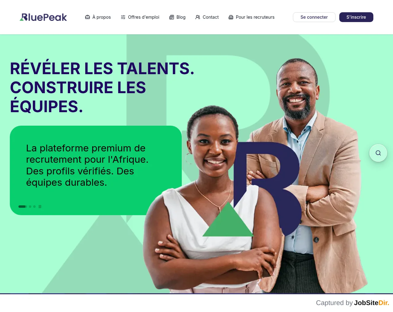 BluePeak screenshot BluePeak website screenshot