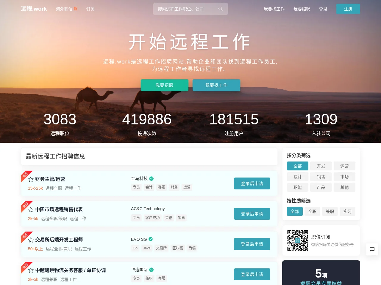 远程 website screenshot
