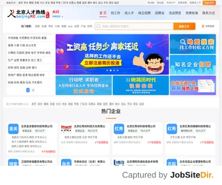 大兴人才网 screenshot preview