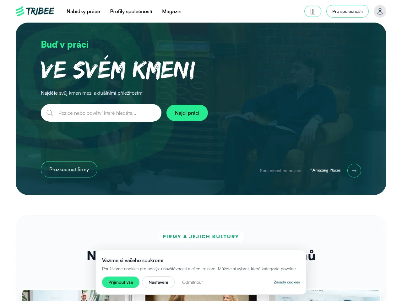 TRIBEE website screenshot