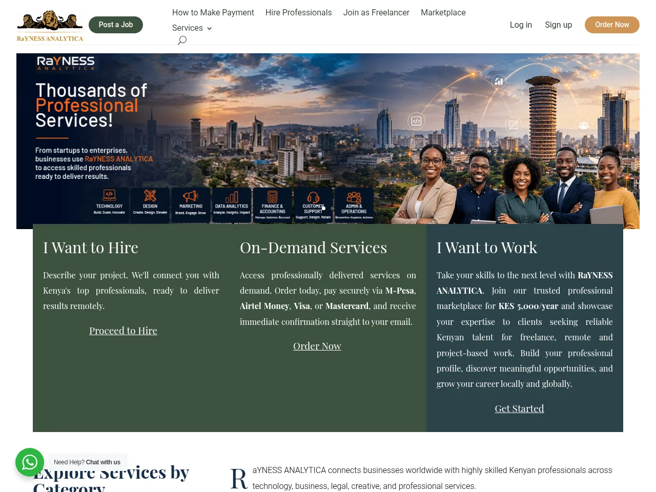 RaYNESS ANALYTICA website screenshot