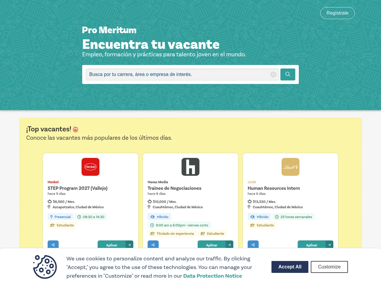 Vacantes Pro Meritum screenshot Vacantes Pro Meritum website screenshot