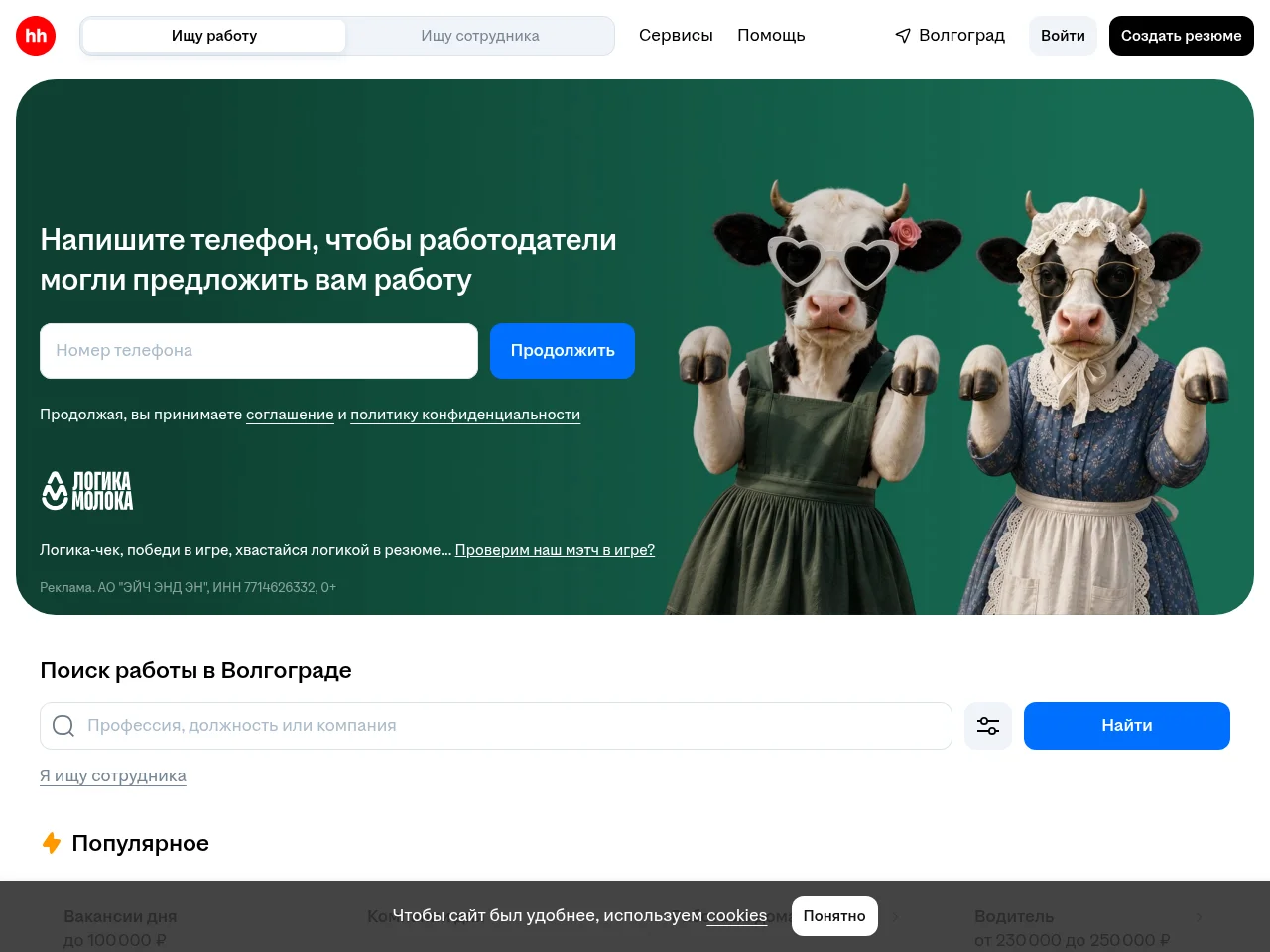 volgograd screenshot volgograd website screenshot