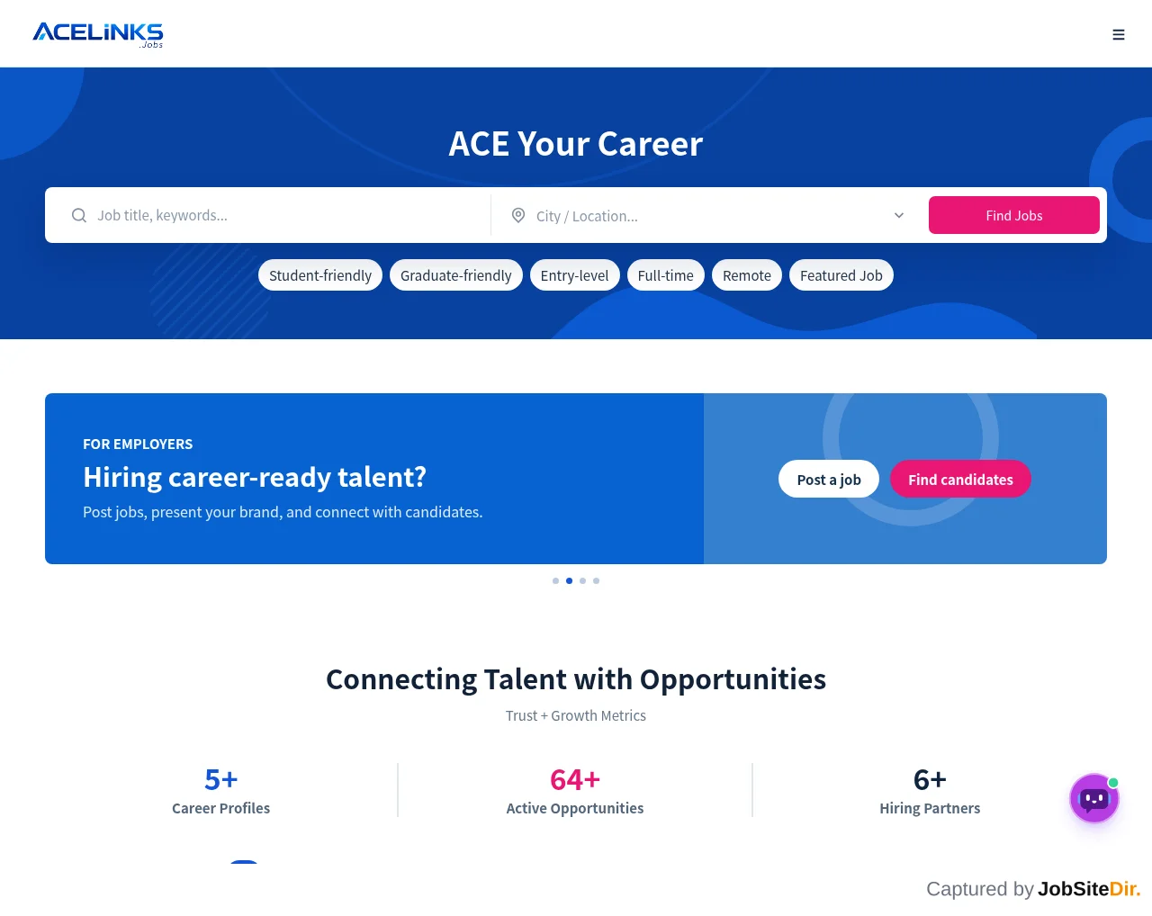 ACE Jobs website screenshot