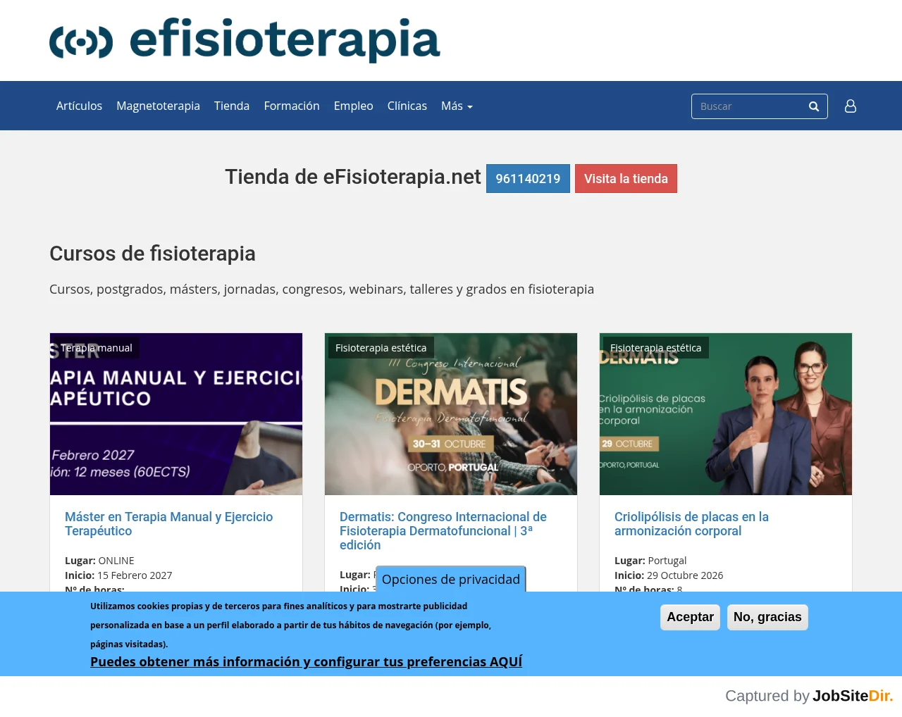 eFisioterapia screenshot eFisioterapia website screenshot