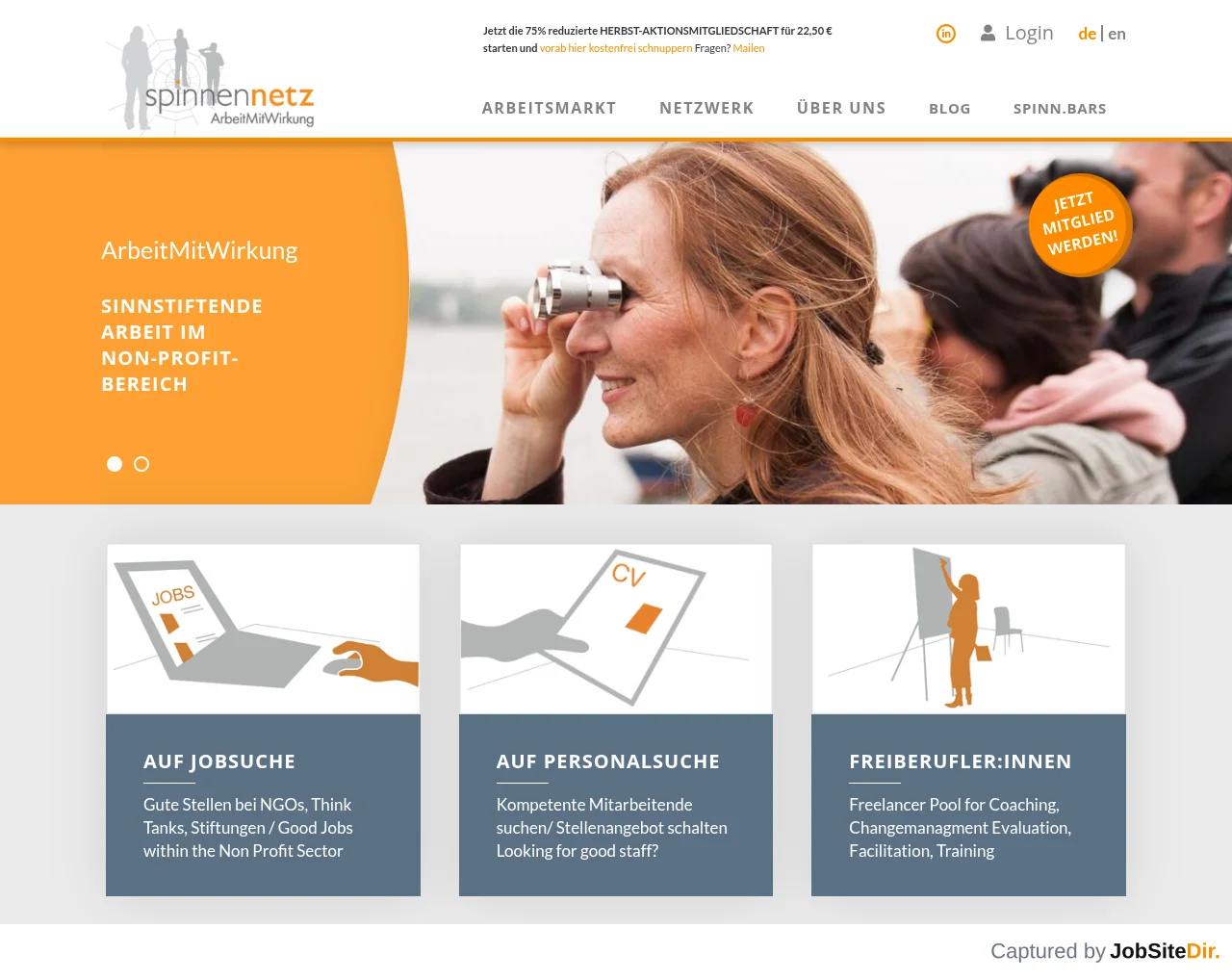 Spinnen-Netz website screenshot