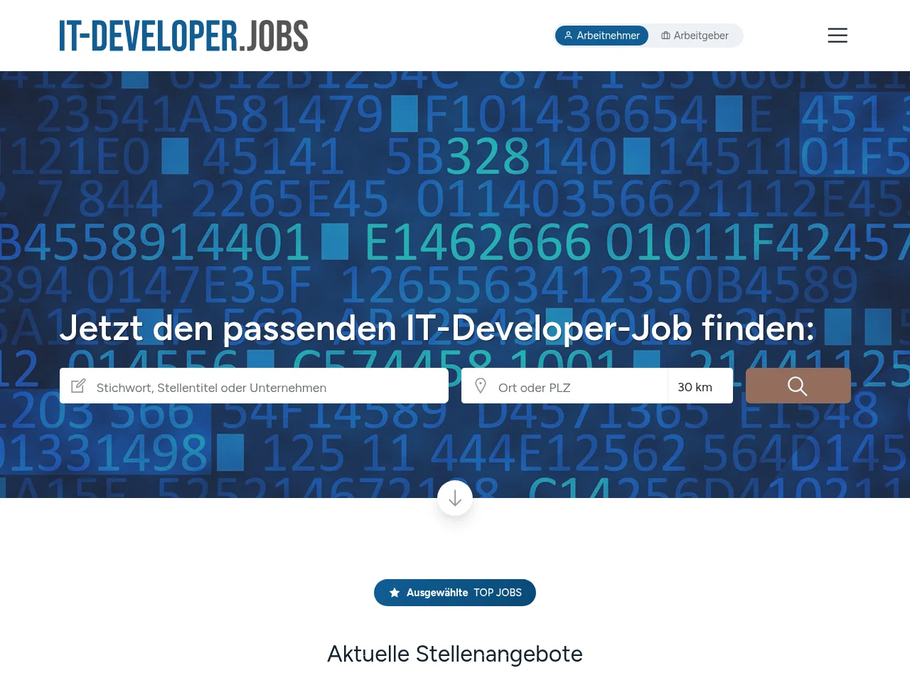 IT-DEVELOPER screenshot IT-DEVELOPER website screenshot