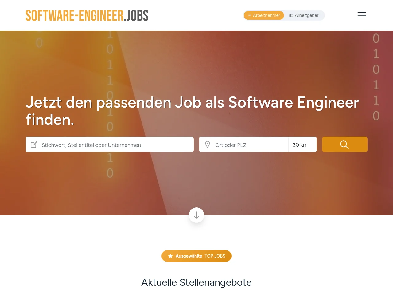 SOFTWARE-ENGINEER screenshot SOFTWARE-ENGINEER website screenshot