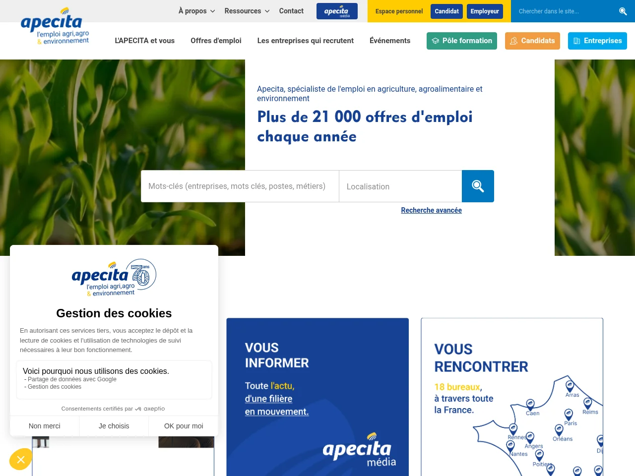 APECITA website screenshot