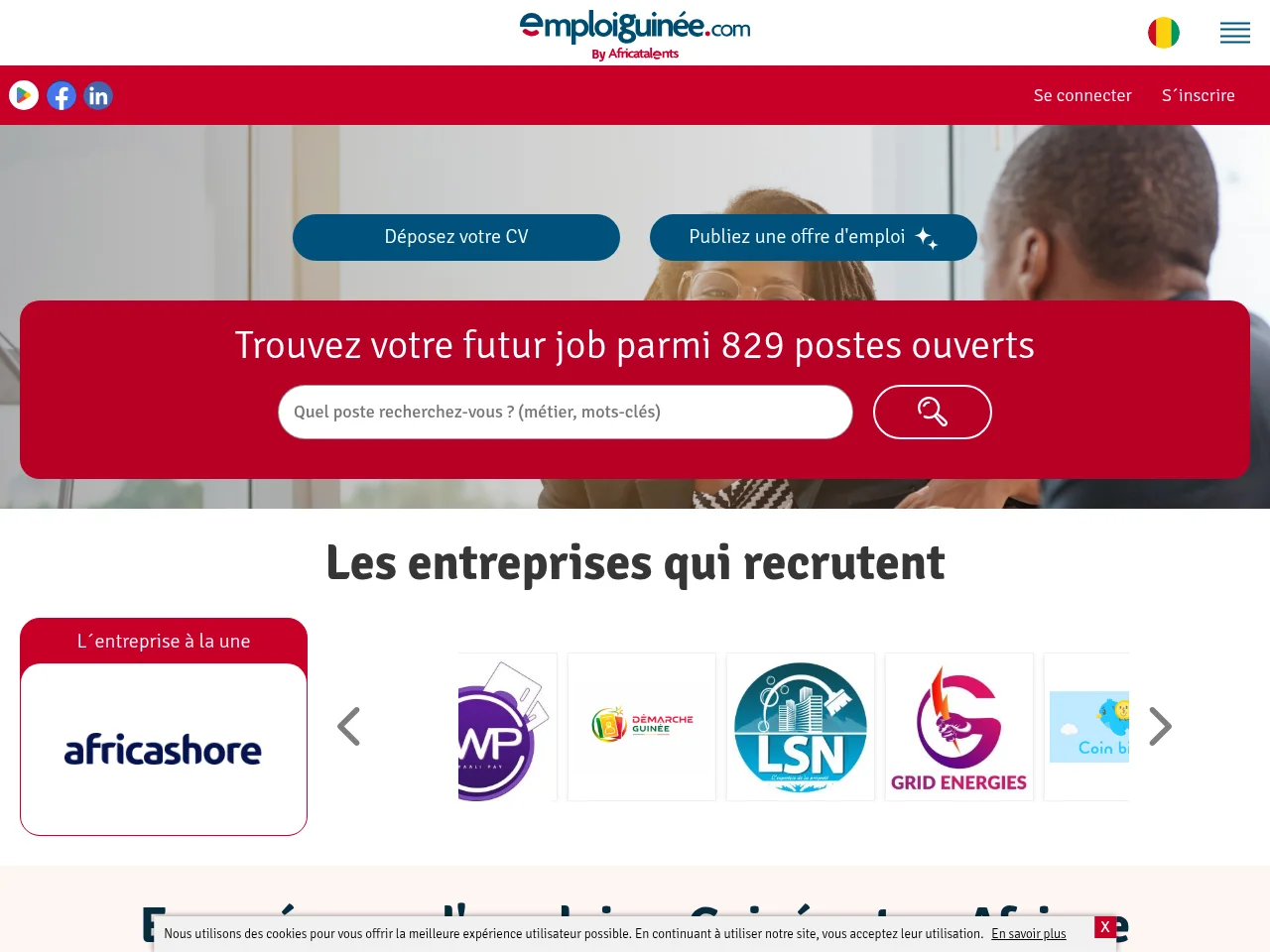 Emploiguinee website screenshot