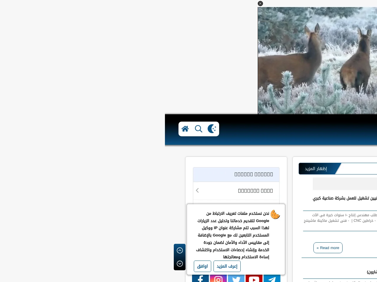 Wazaef4u website screenshot