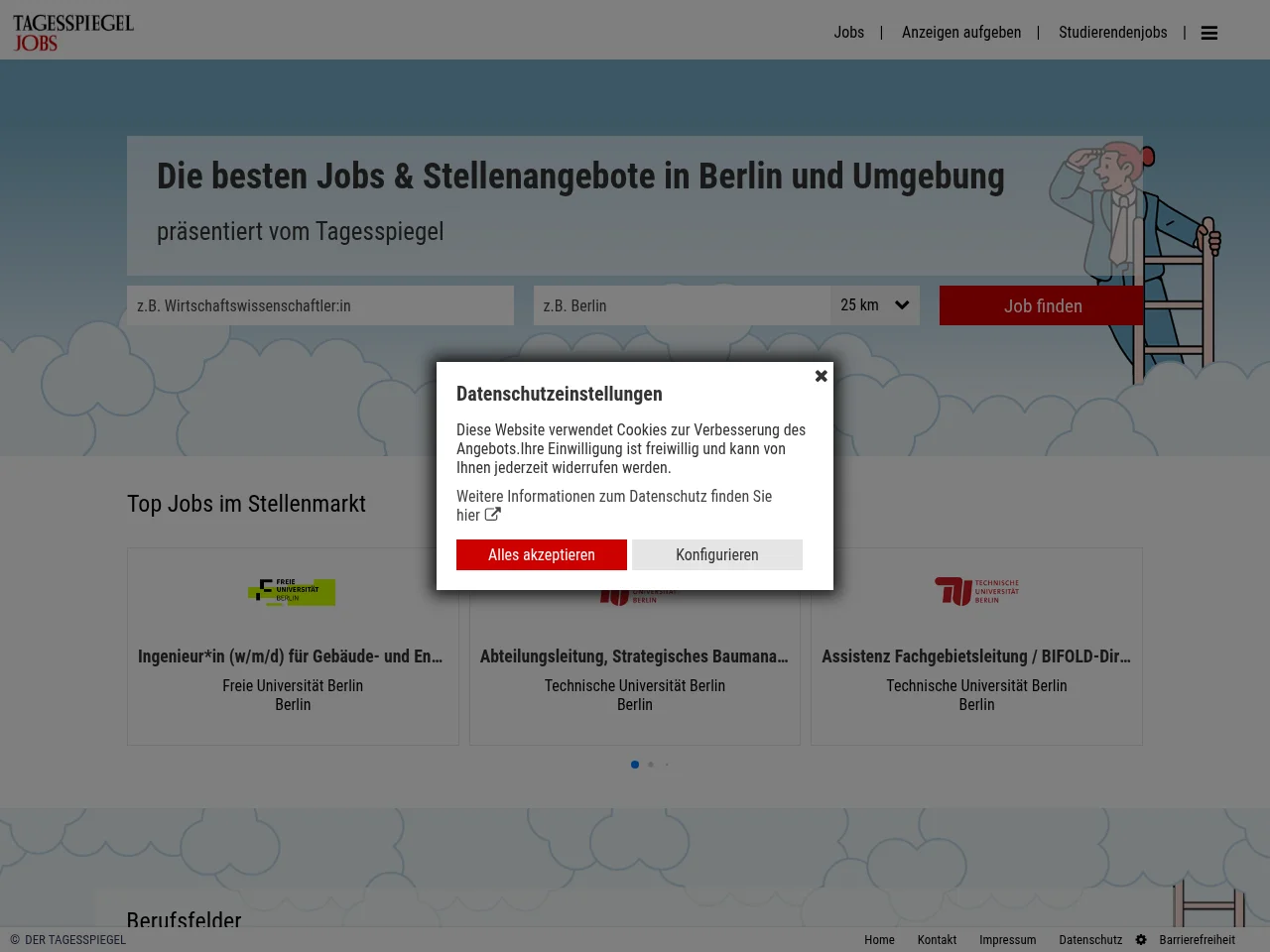 Tagesspiegel Jobbörse website screenshot