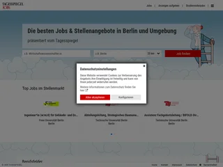 Tagesspiegel Jobbörse platform preview