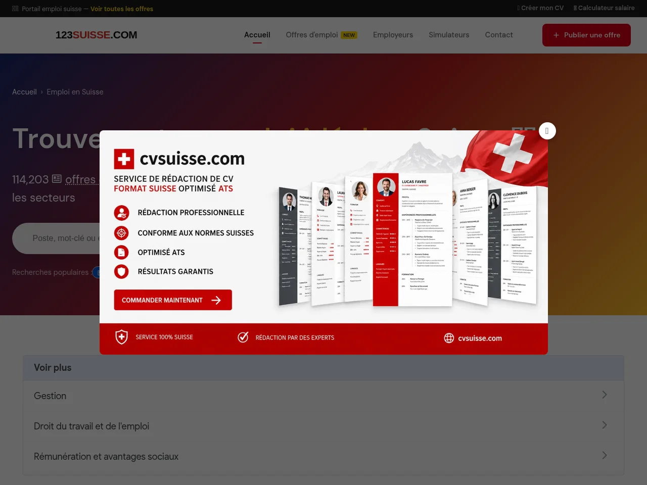 123suisse.com job board platform screenshot showing job search interface