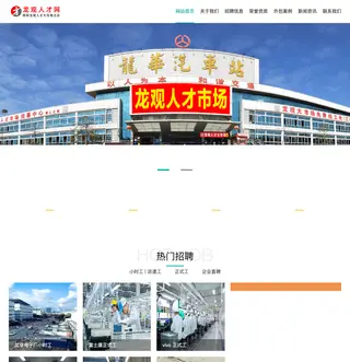 龙观人才网 platform preview