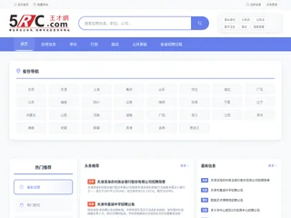 王才网 screenshot preview