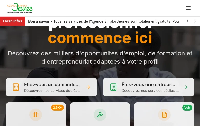 Agence Emploi Jeunes screenshot Agence Emploi Jeunes job board platform screenshot showing job search interface