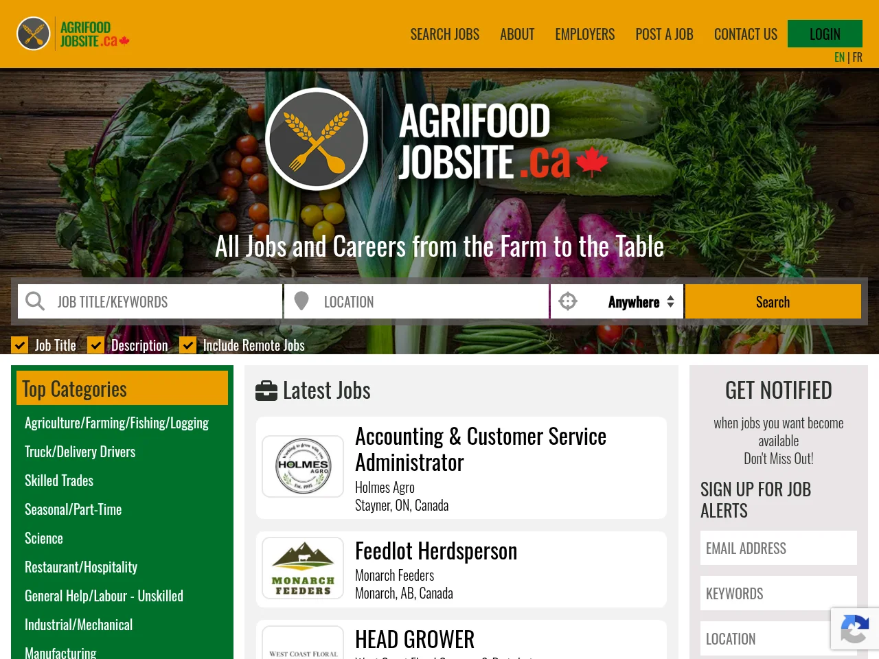 AgriFood Job Site Canada screenshot AgriFood Job Site Canada job board platform screenshot showing job search interface