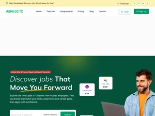 Ajira.co.tz platform preview