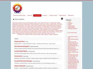 Álláshirdetések platform preview