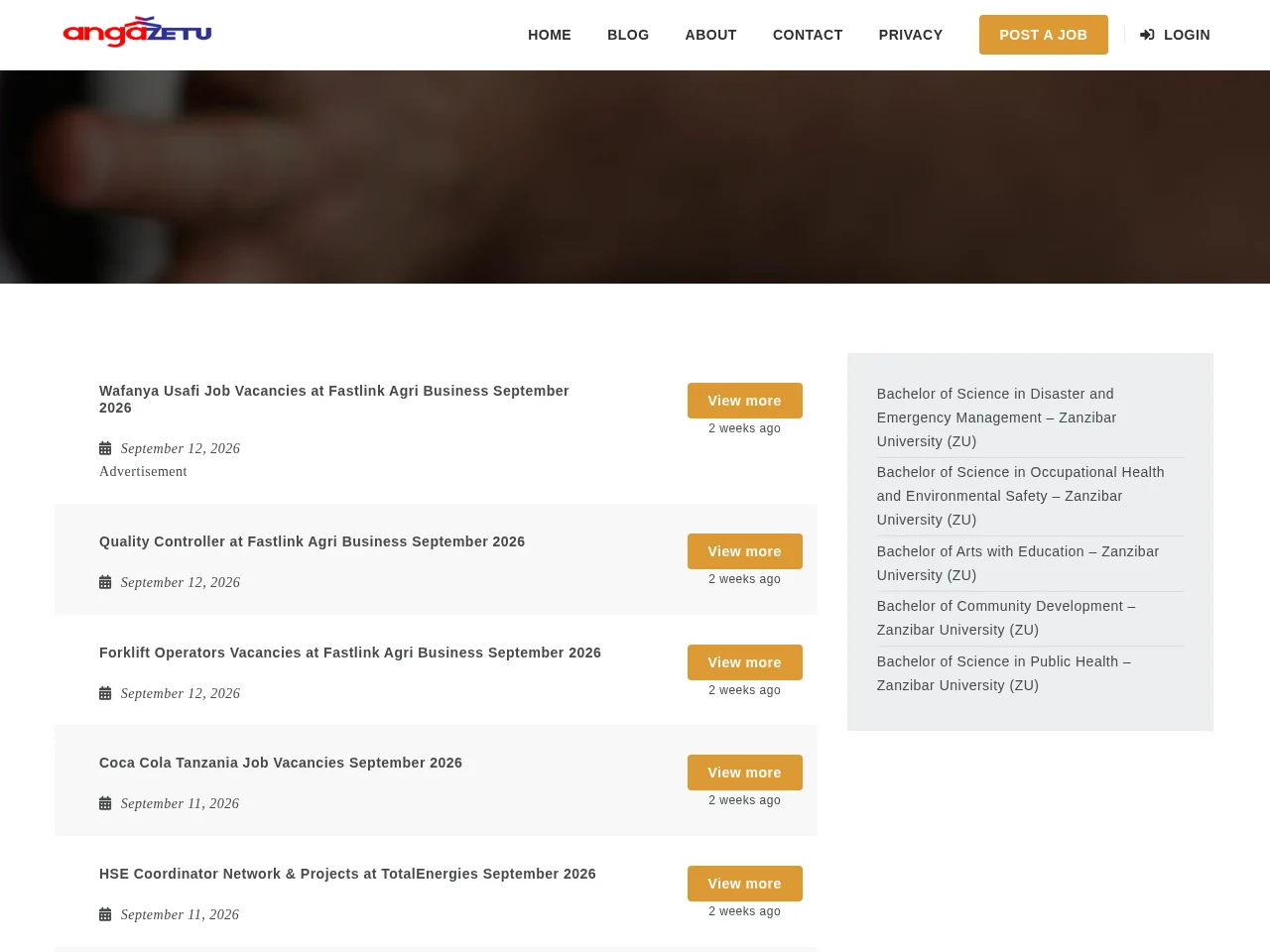 Angazetu job board platform screenshot showing job search interface