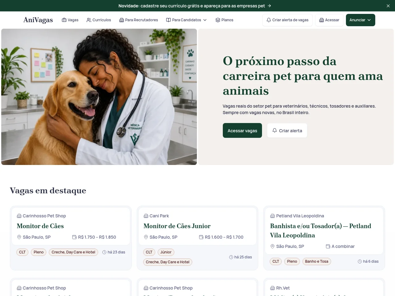 AniVagas job board platform screenshot showing job search interface
