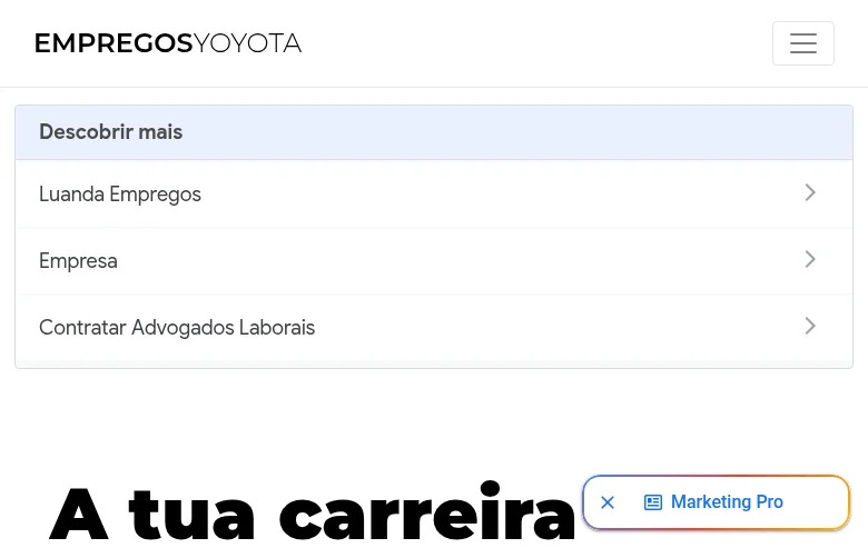 Empregos Yoyota Angola screenshot Empregos Yoyota Angola job board platform screenshot showing job search interface