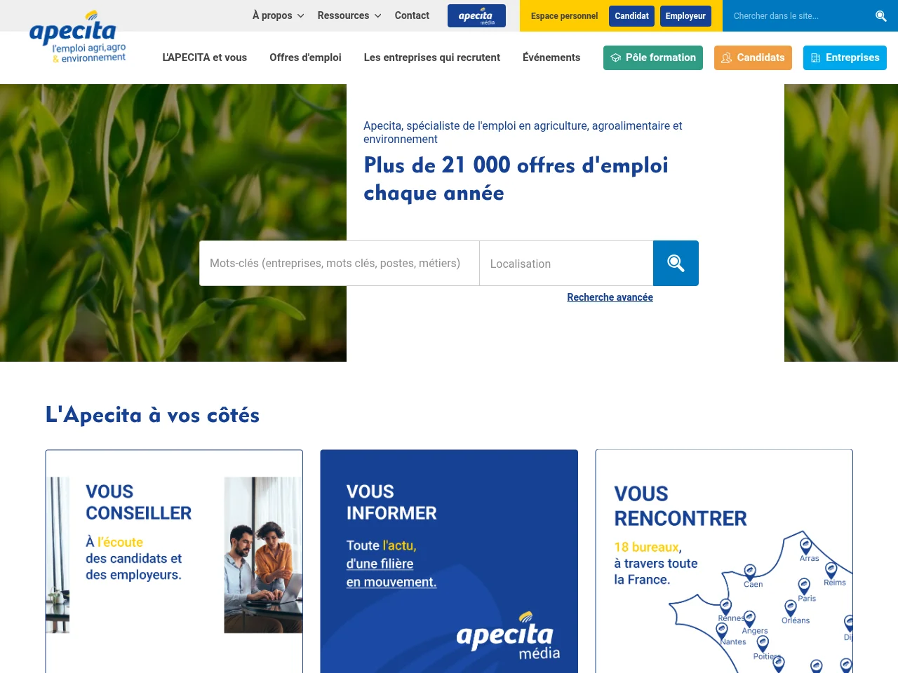 APECITA job board platform screenshot showing job search interface