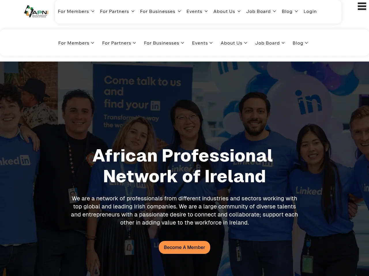 African Professional Network Of Ireland job board platform screenshot showing job search interface