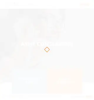 Ashe Consulting platform preview