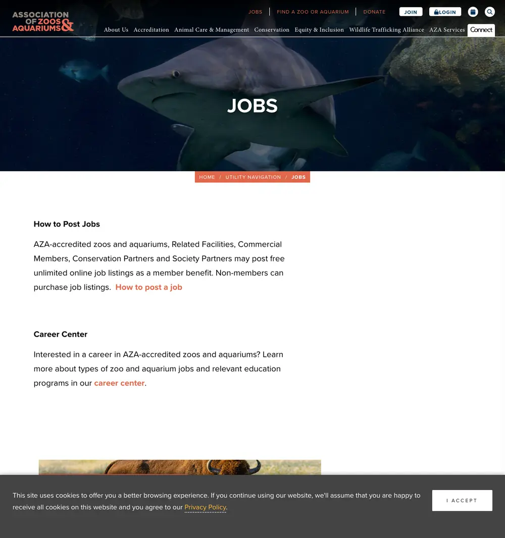 AZA Job Board (AZAsearch) job board platform screenshot showing job search interface