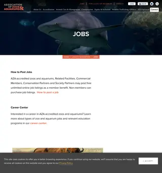 AZA Job Board (AZAsearch) platform preview