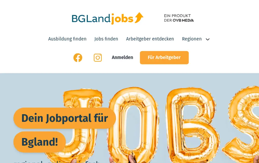 BglandJobs screenshot BglandJobs job board platform screenshot showing job search interface