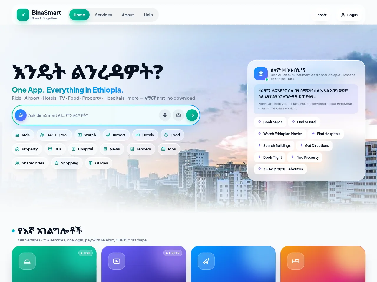 BinaSmart job board platform screenshot showing job search interface