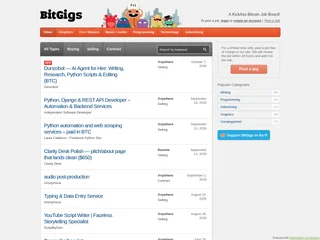BitGigs platform preview BitGigs platform preview