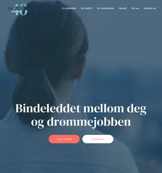 Bjørg Fjell Rekruttering platform preview