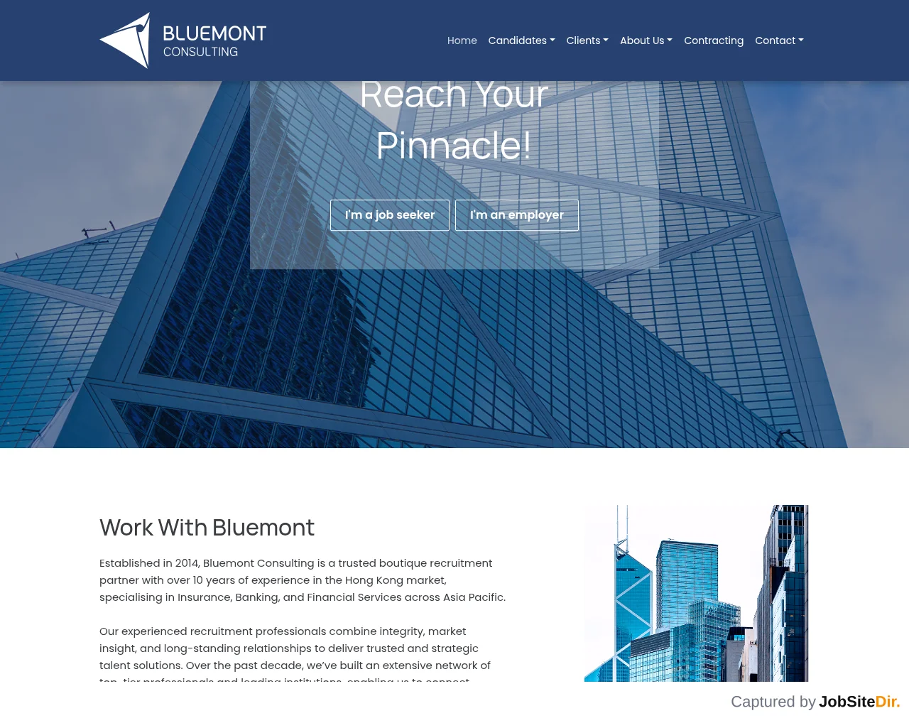 Bluemont Consulting screenshot Bluemont Consulting website screenshot