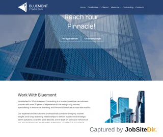 Bluemont Consulting platform preview Bluemont Consulting platform preview