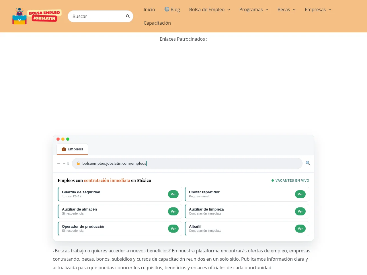 Bolsa Empleo screenshot Bolsa Empleo website screenshot