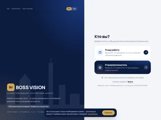 BOSS VISION screenshot preview