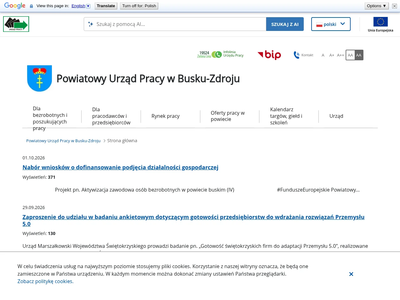 Powiatowy Urząd Pracy w Busku-Zdroju screenshot Powiatowy Urząd Pracy w Busku-Zdroju job board platform screenshot showing job search interface