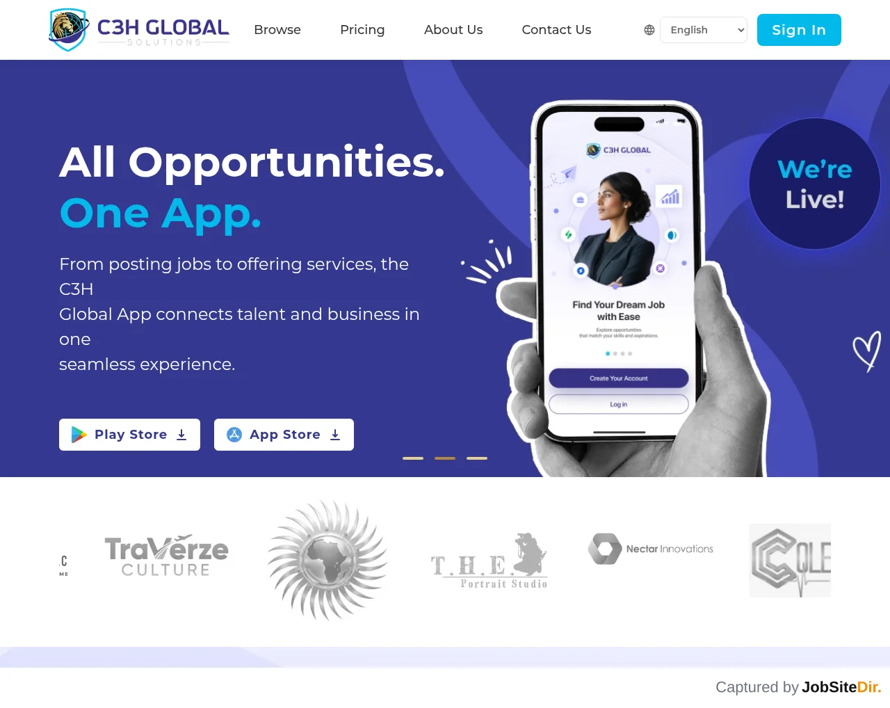C3H Global website screenshot