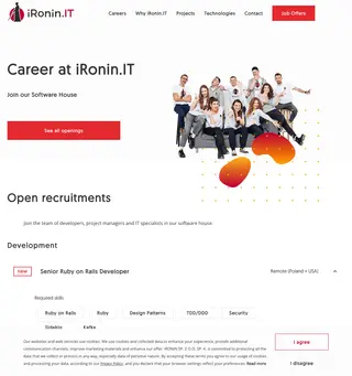 Career at iRonin.IT platform preview