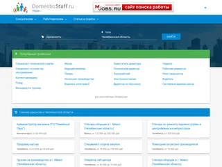 DomesticStaff.ru screenshot preview