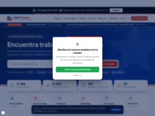 ChileEmpleos screenshot preview ChileEmpleos screenshot preview
