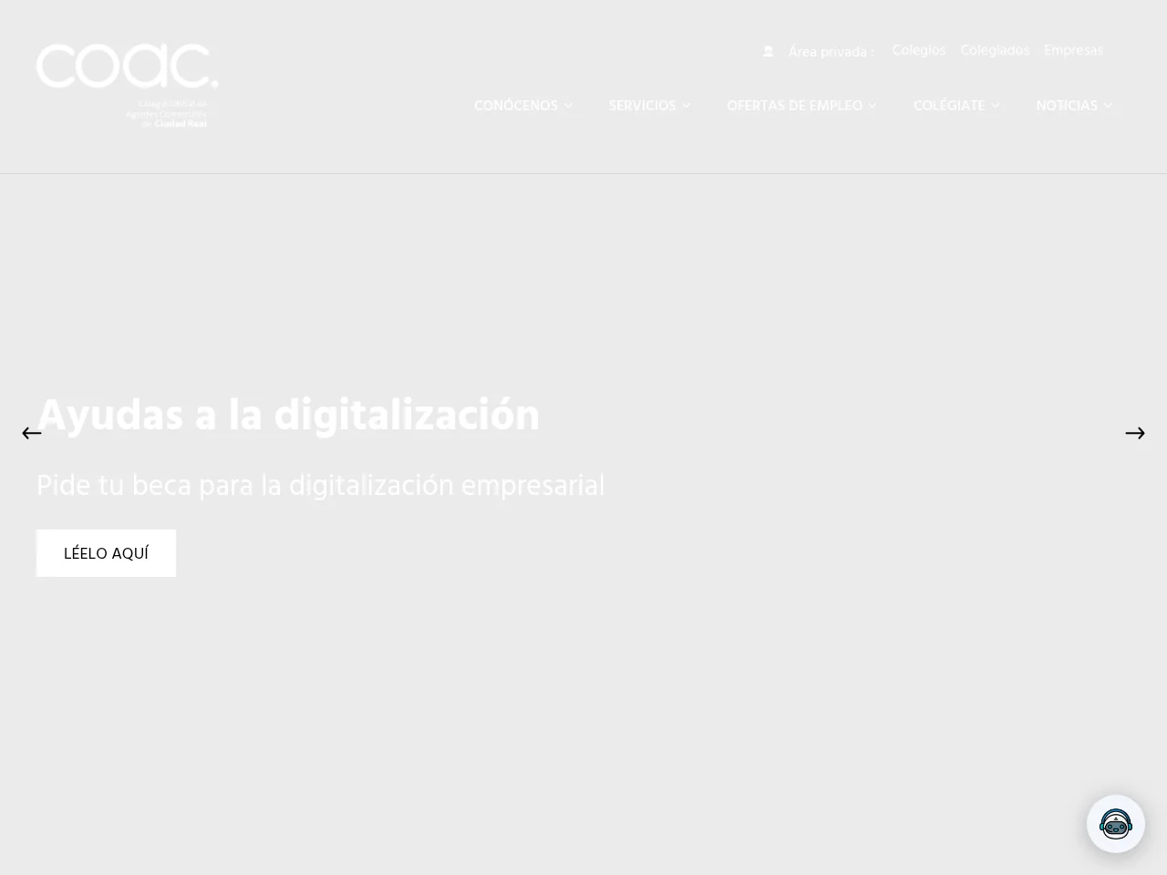 Colegio Ciudad Real – Agentes Comerciales de Ciudad Real website screenshot
