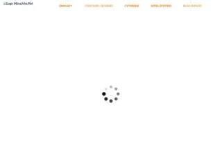 MinaJobs.net platform preview