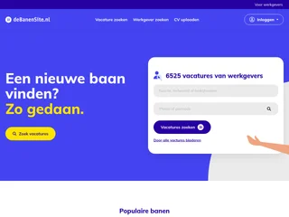 deBanenSite.nl platform preview