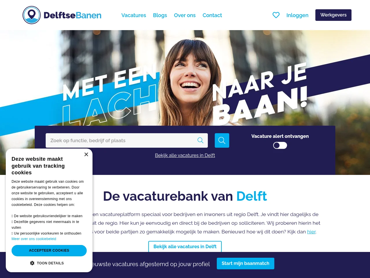 DelftseBanen screenshot DelftseBanen job board platform screenshot showing job search interface